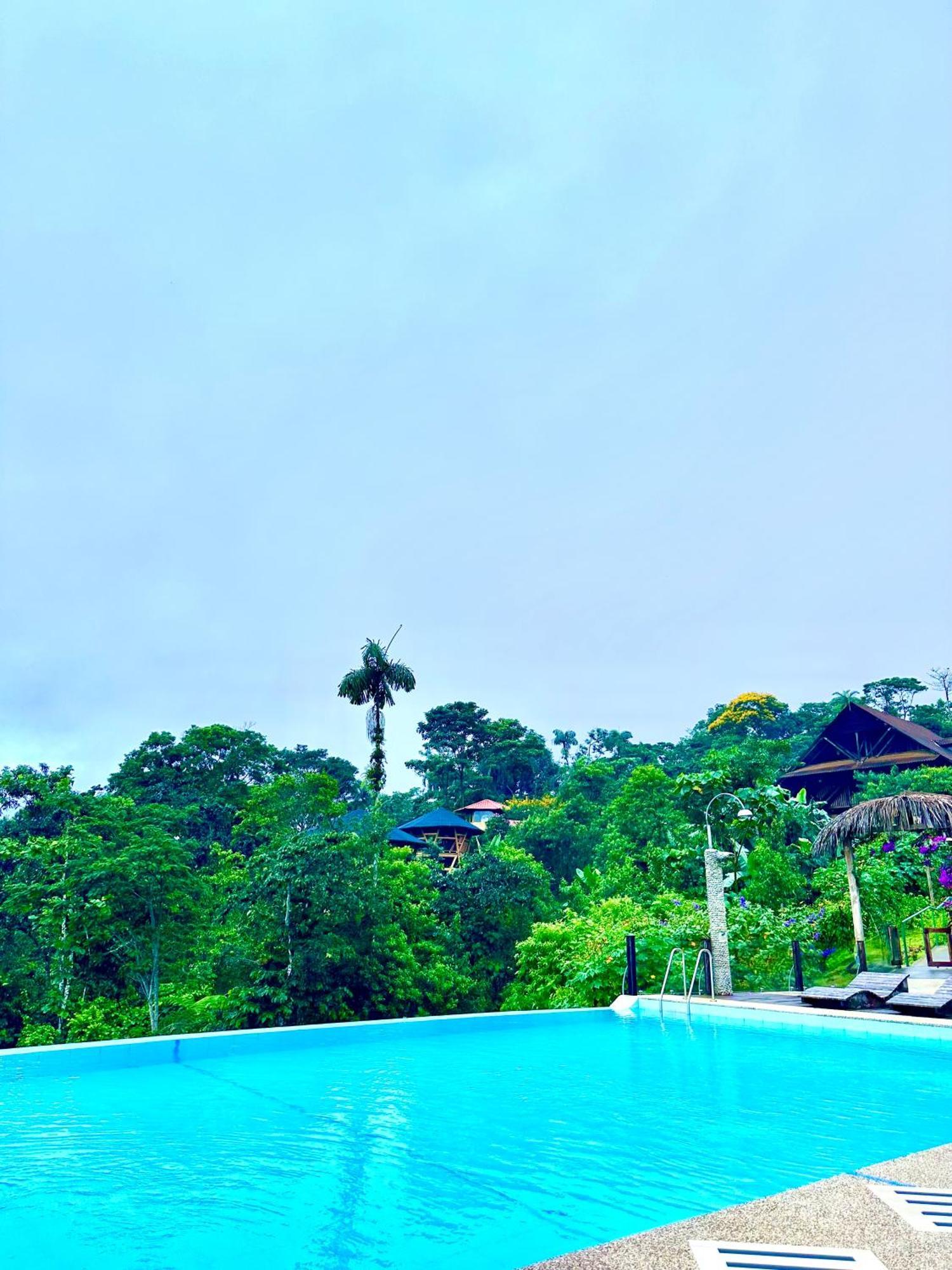 Heimatlos Amazon Lodge Puyo Exteriér fotografie